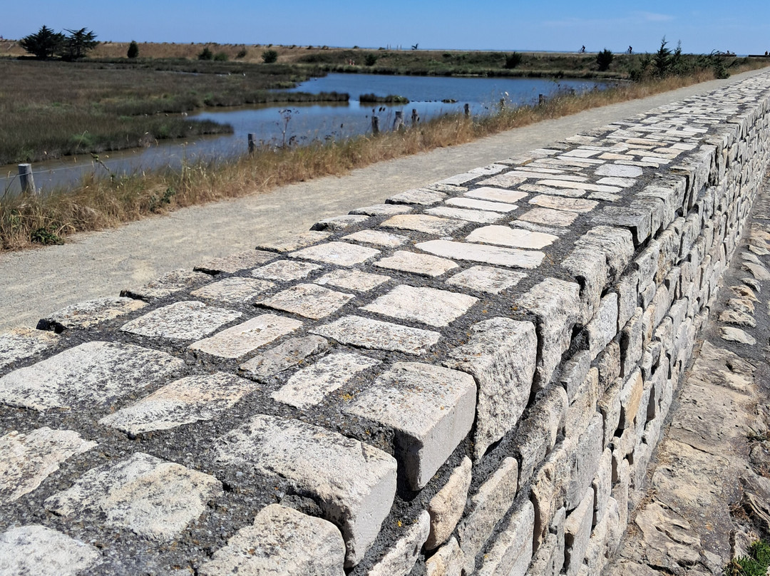 Plage des Dames-Ile de Noirmoutier必去景点