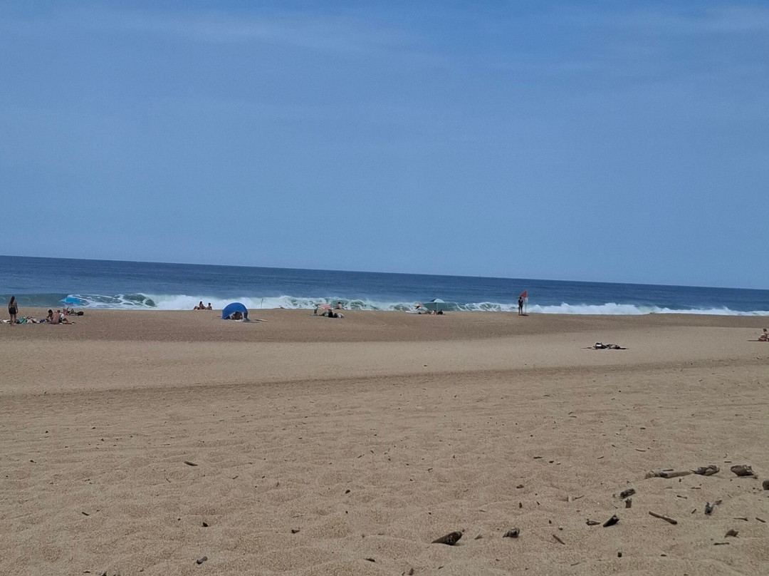 Beach of Tarnos-Tarnos必去景点