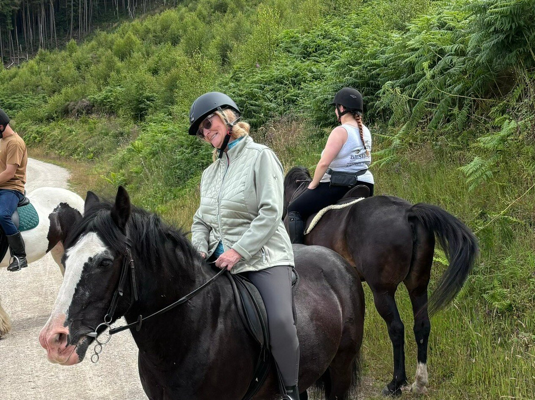 Bilsdale Riding Centre-Hawnby必去景点