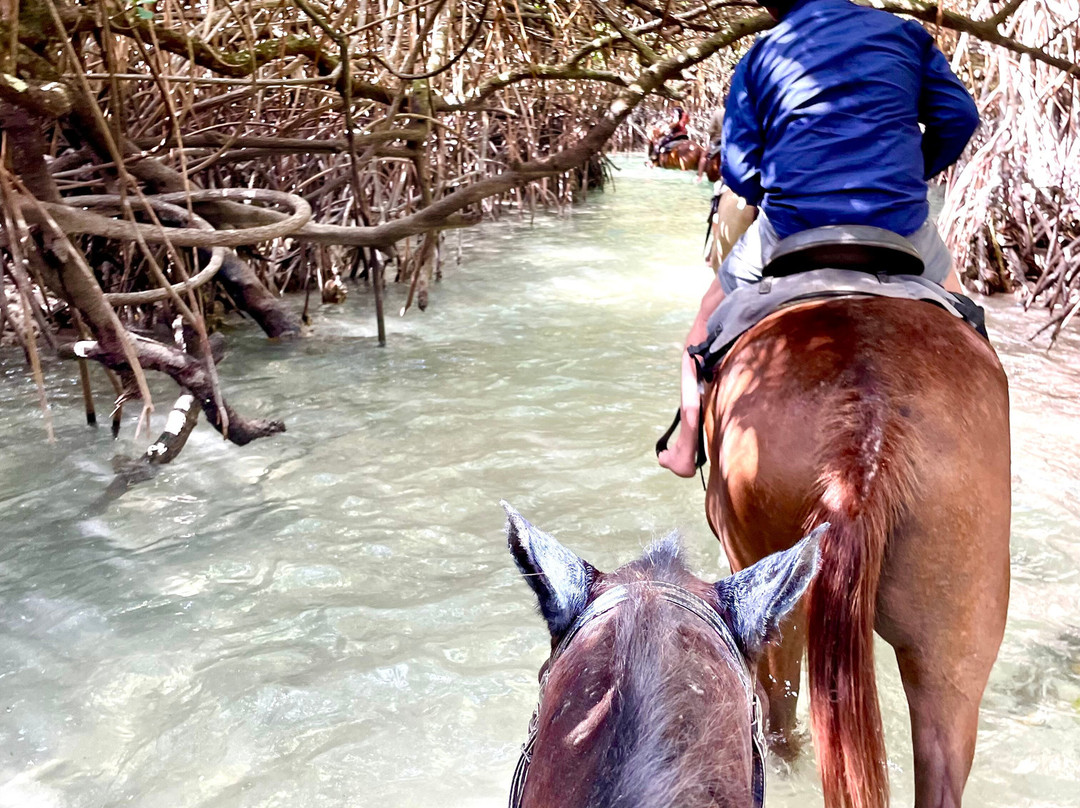Santo Horse Adventures-卢甘维尔必去景点