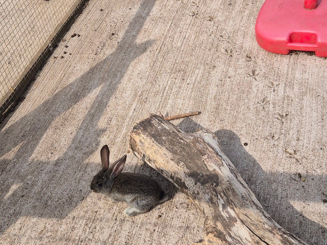 Sedgley Adventure Centre-Sedgley必去景点