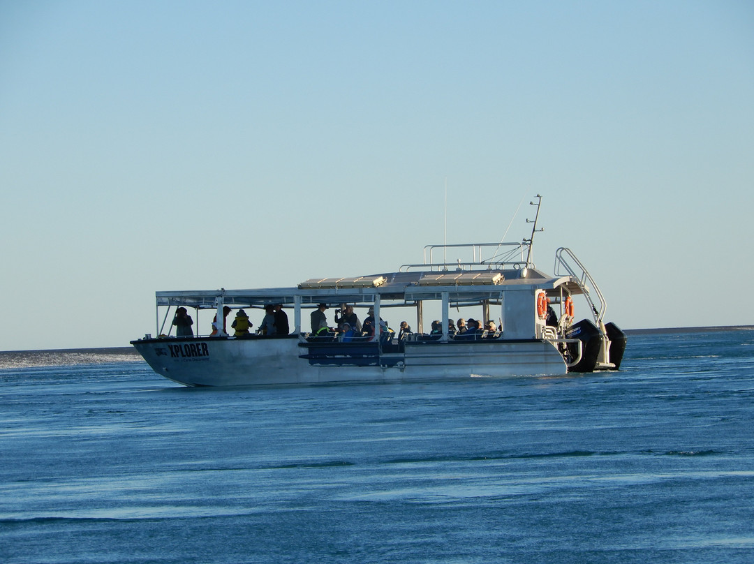 Coral Expeditions-凯恩斯必去景点
