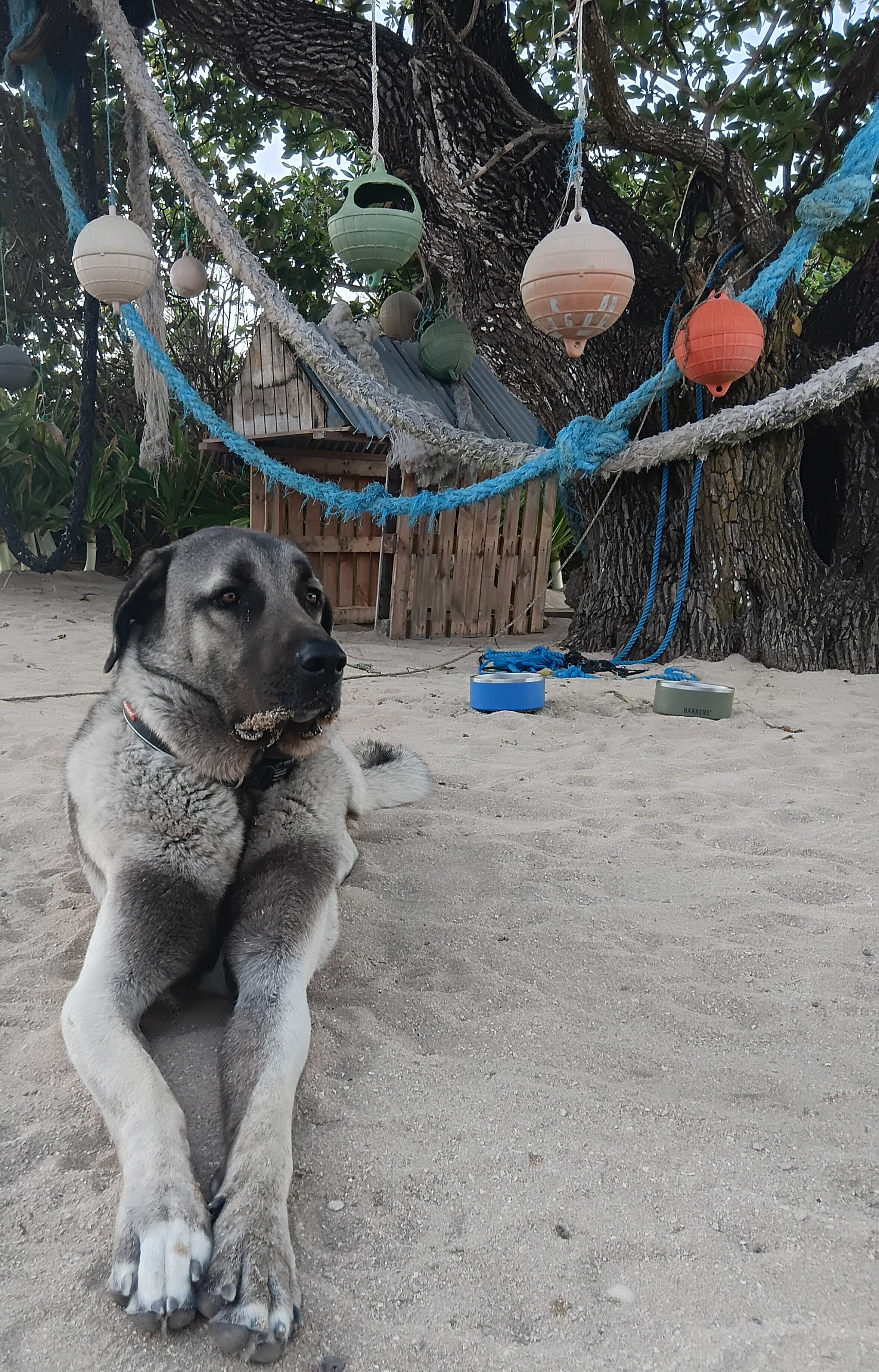 Matafonua Lodge-官方