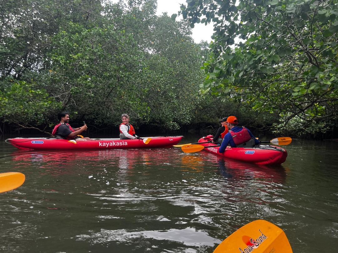 薄荷岛Kayakasia水上之旅-Maribojoc必去景点