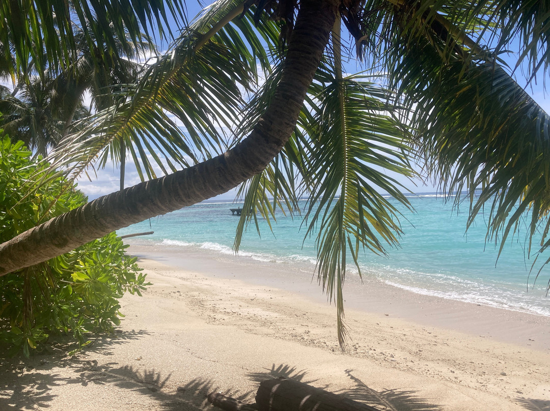 Nirvana Diving-Singkil必去景点