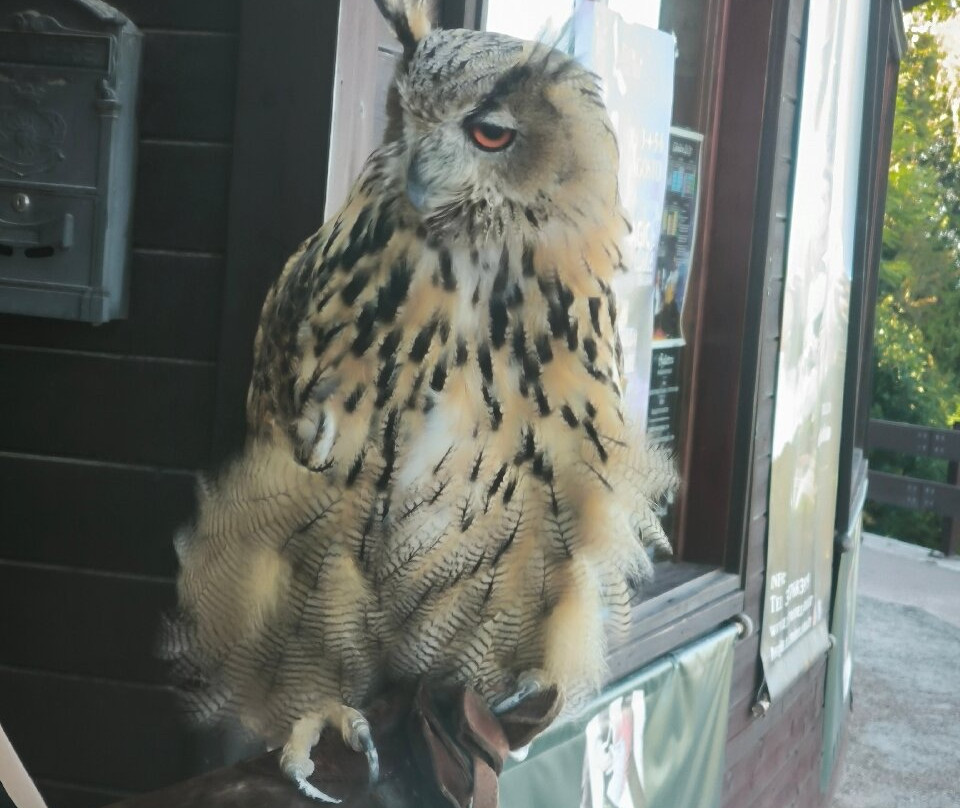 Il Teatro dell'Aria-Gradara必去景点