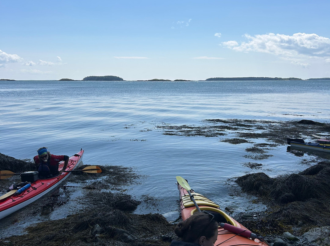 Seascape Kayak Tours Inc.-Deer Island必去景点