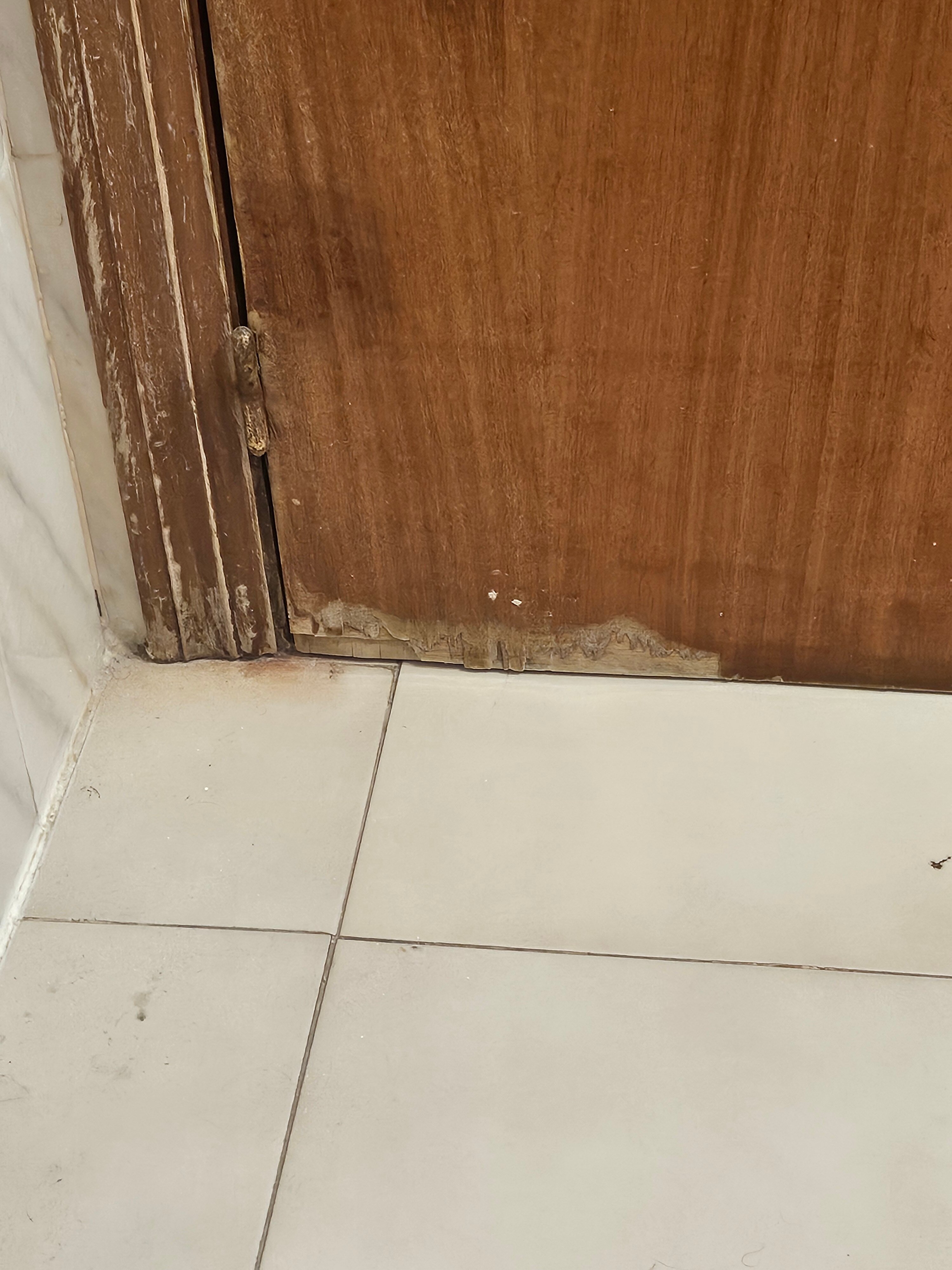 Apartamentos Ocana-官方