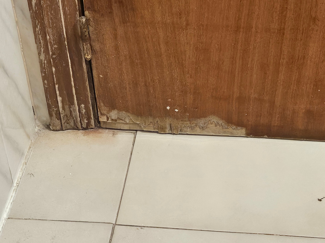 Apartamentos Ocana主图