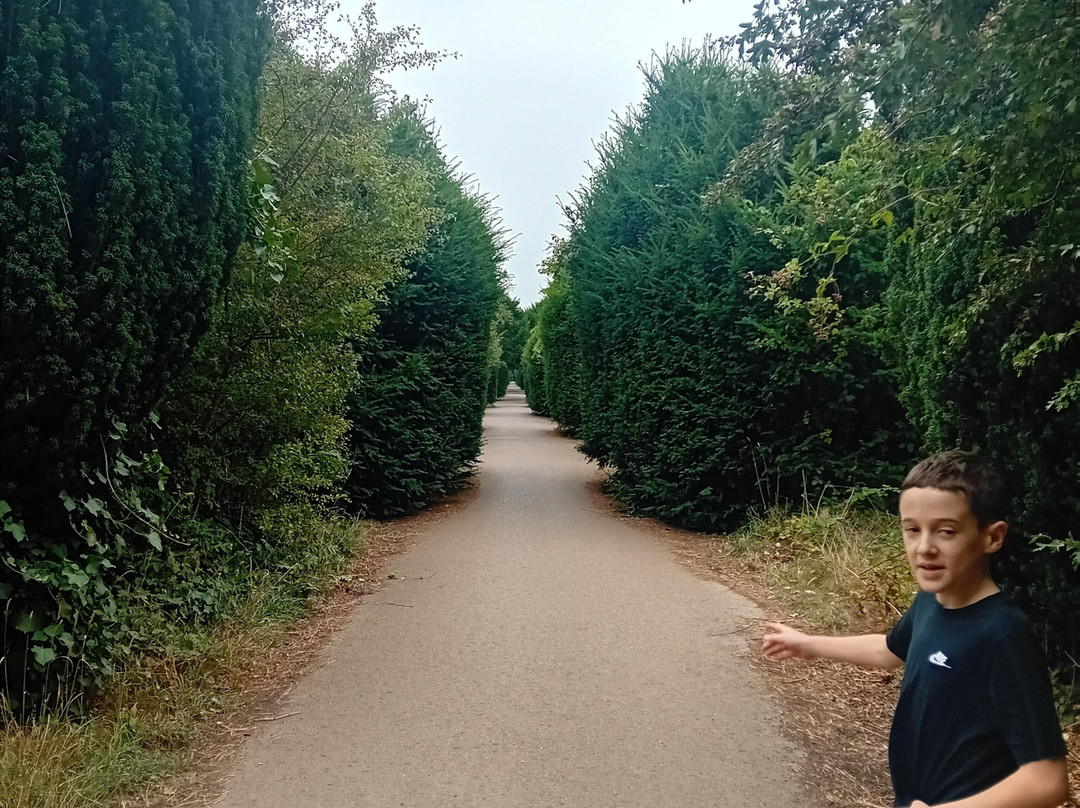 Southampton Common-南安普敦必去景点