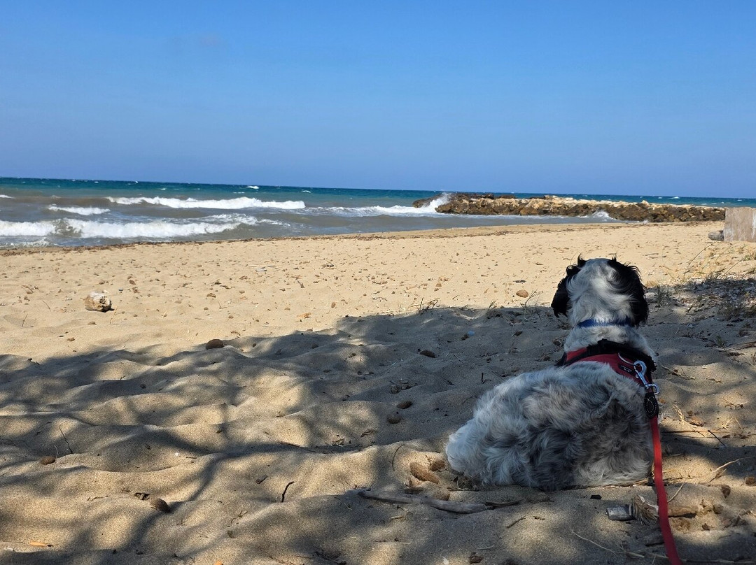 Soleluna Lido-San Cataldo必去景点