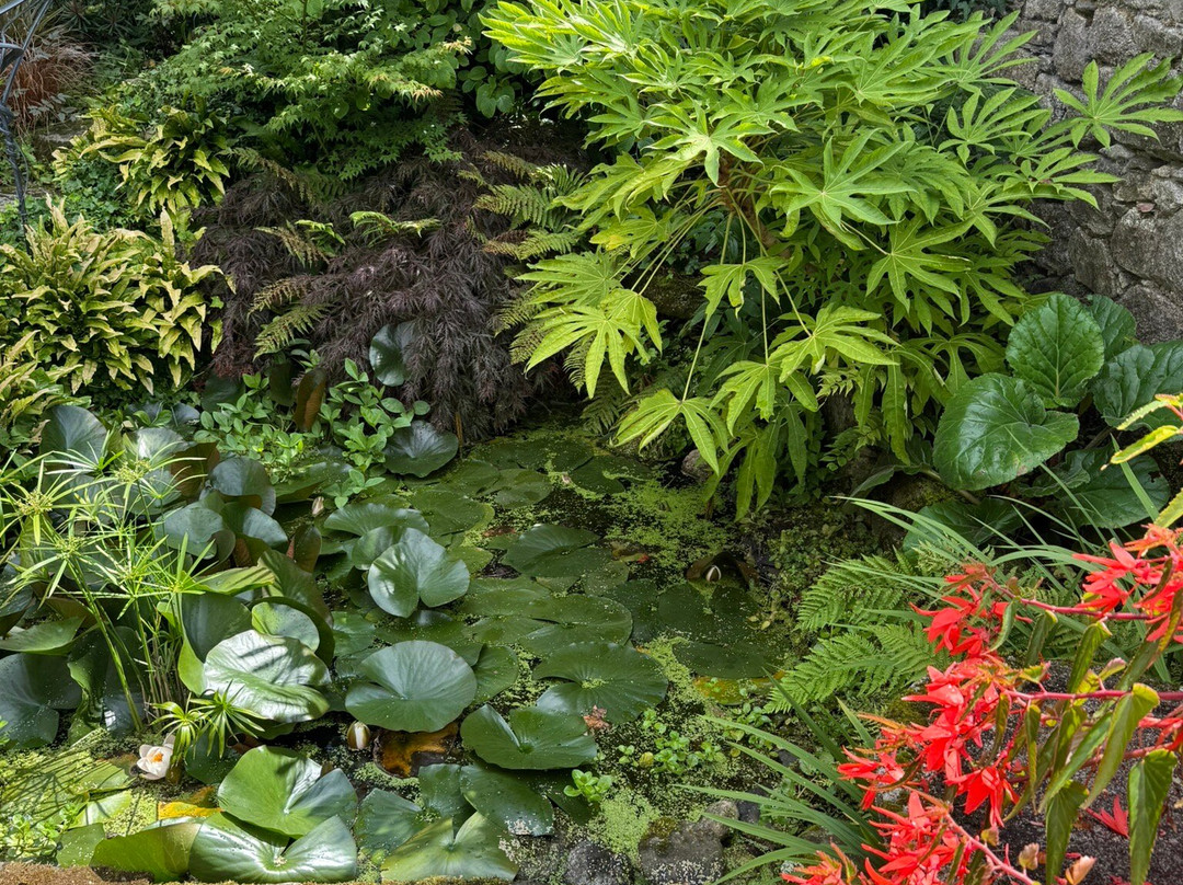 Patthana's Garden-Kiltegan必去景点