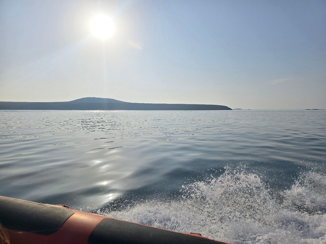 Voyages of Discovery (Ramsey Island)-St. Davids必去景点