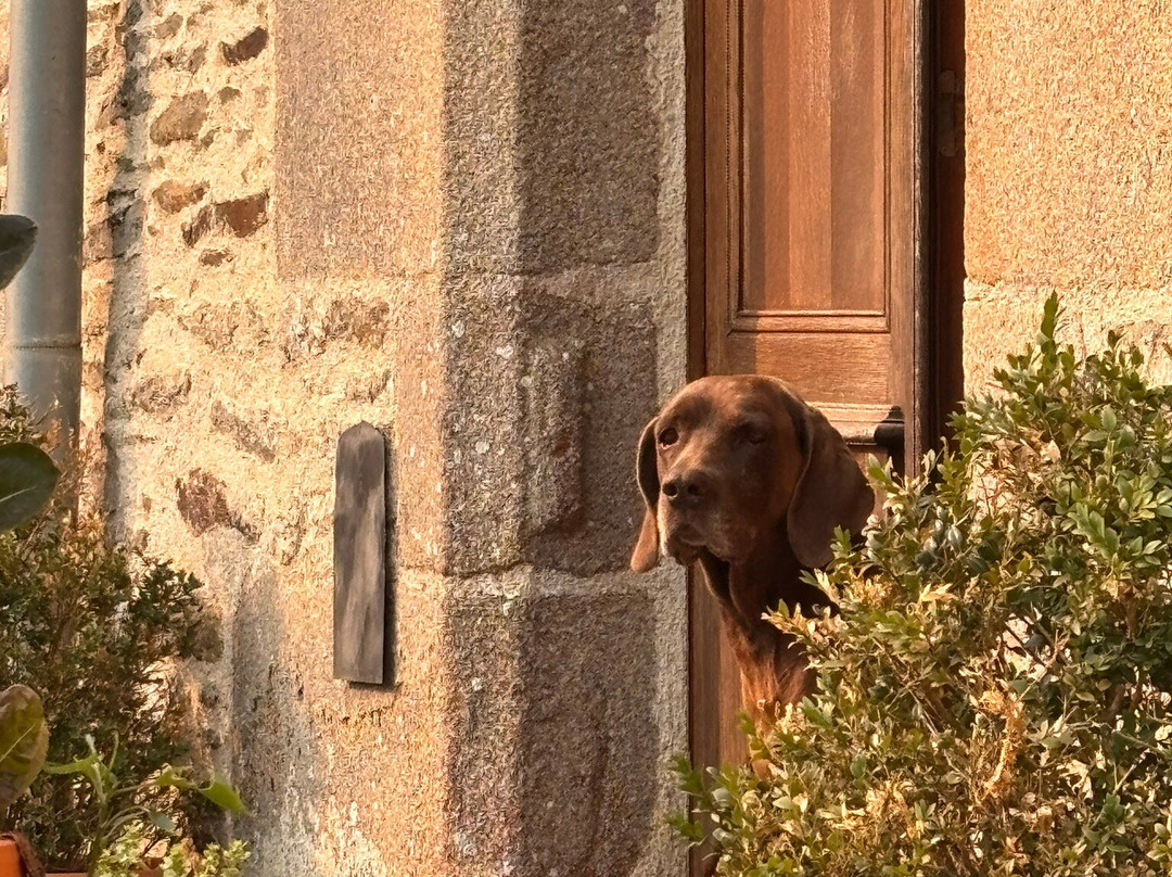 Le Clos Saint- Gilles主图
