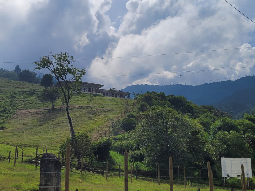 Travelerscomuna13-麦德林必去景点