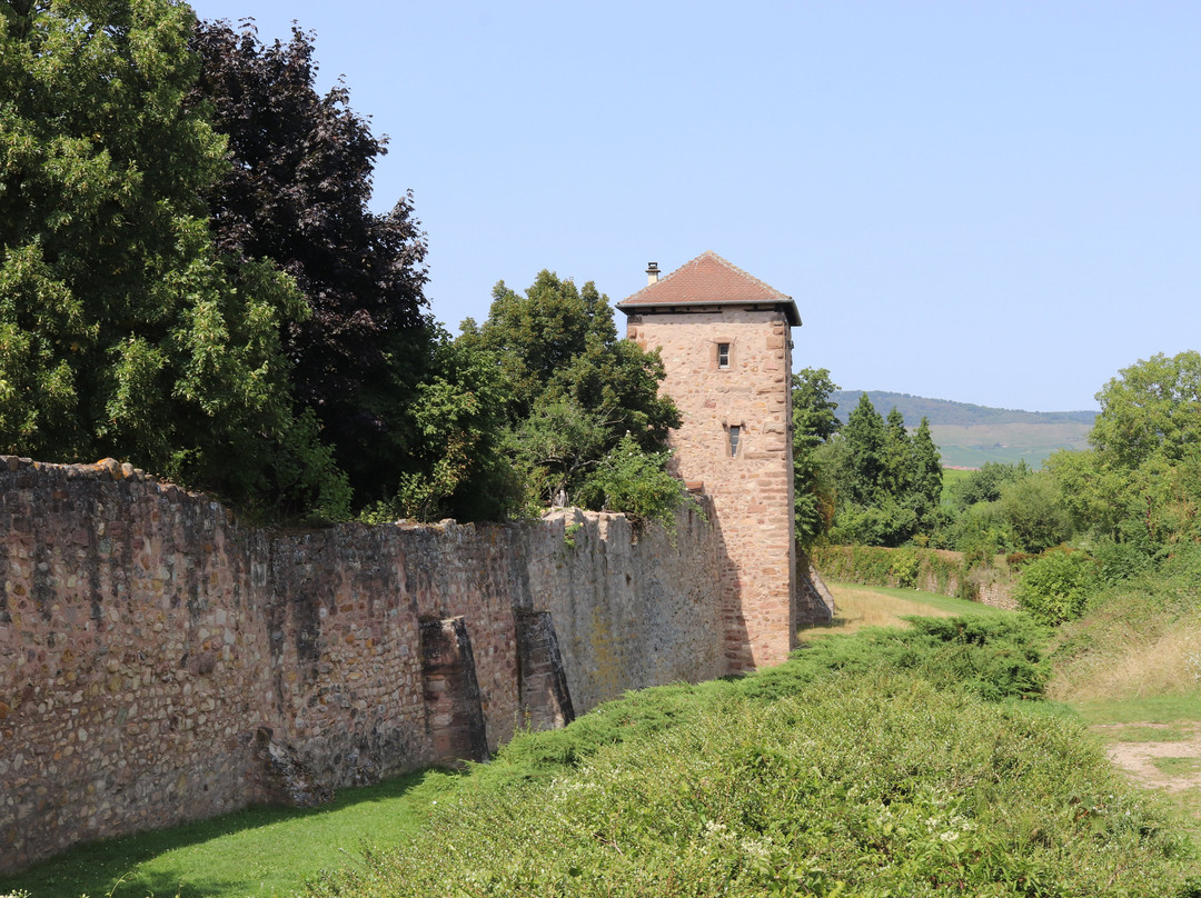 Les Remparts-贝格海姆必去景点