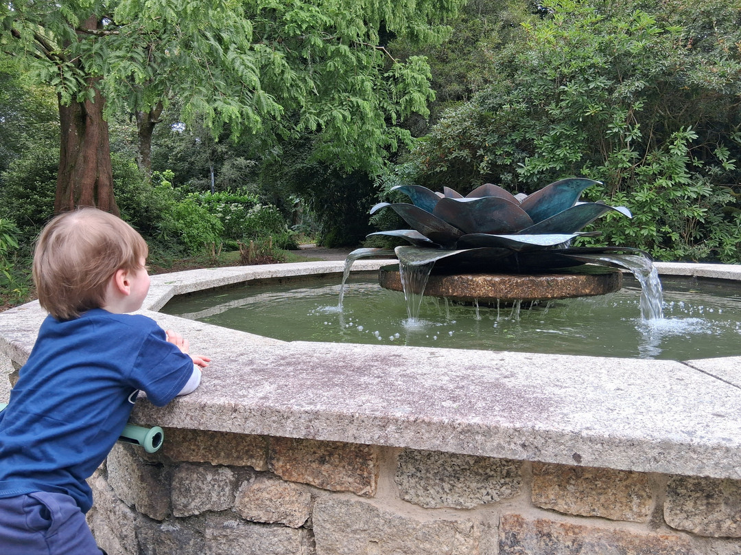 Trewithen Gardens-Grampound必去景点