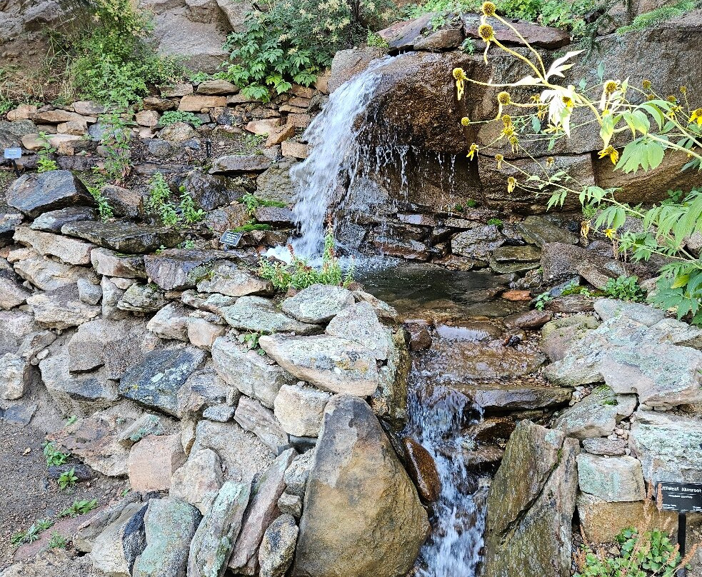 Mrs. Walsh's Garden-埃斯蒂斯公园必去景点