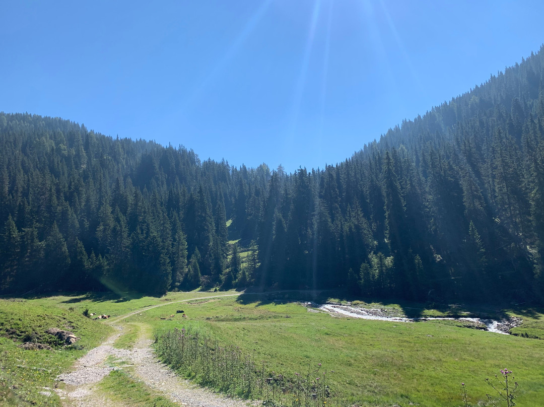 Escursione Estiva: Malga San Silvestro e Cappella di San Silvestro-多比亚科必去景点