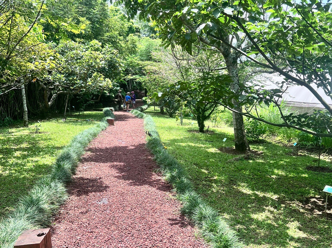 El Arca Jardín Botánico-Santa Barbara必去景点