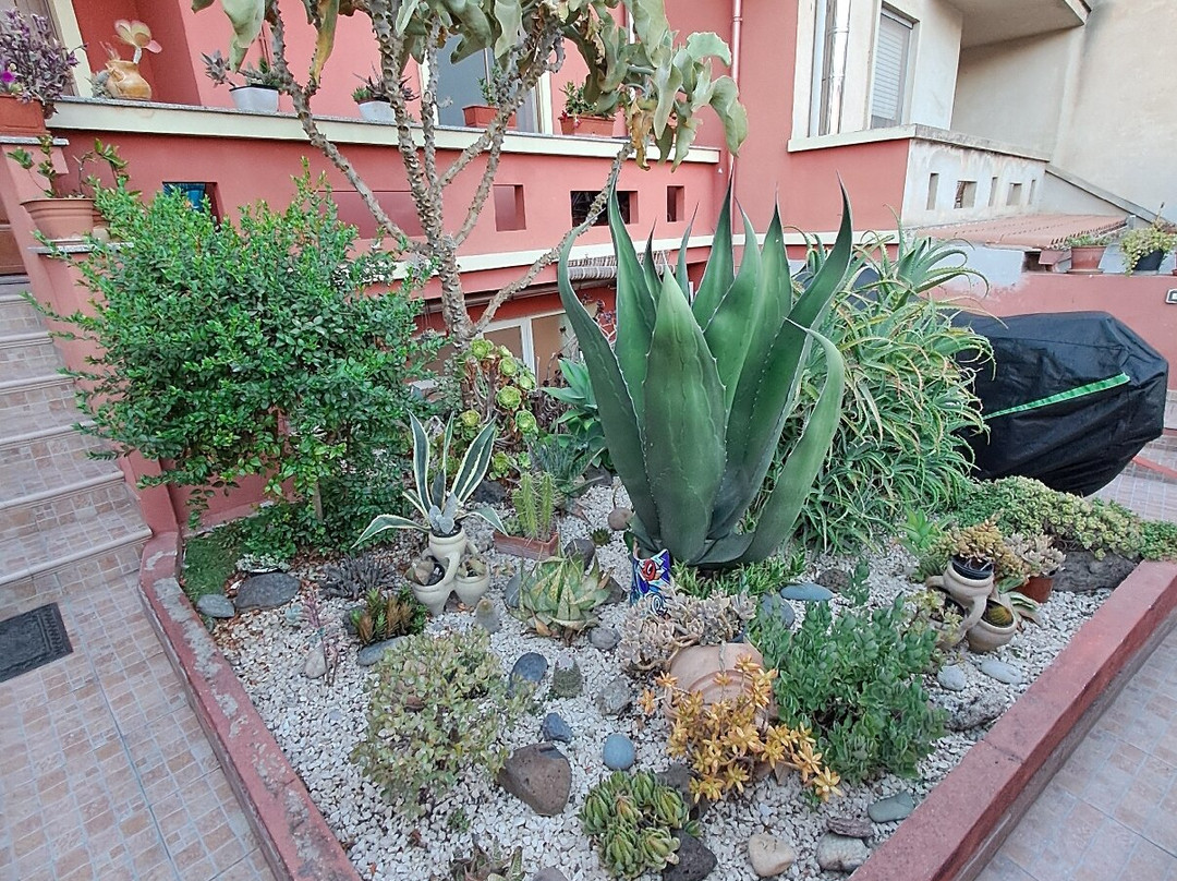 Il Mirto Bed and Breakfast主图