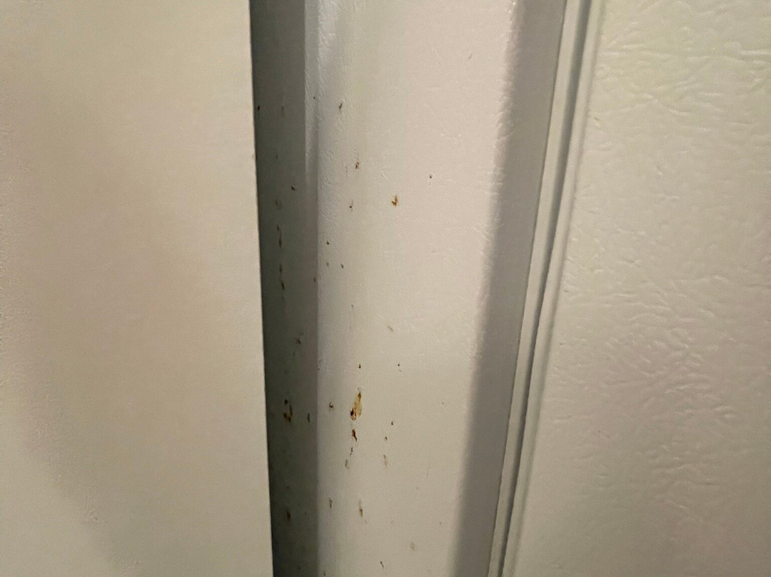 Extended Stay America - Premier Suites Miami - Airport - Miami Springs主图