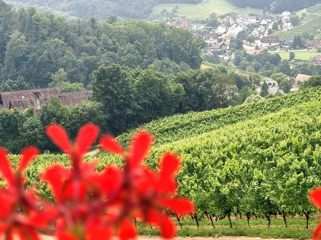 Alde Gott-Sasbachwalden必去景点