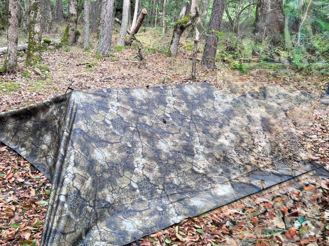 Arverne Bushcraft-Saint-Nectaire必去景点