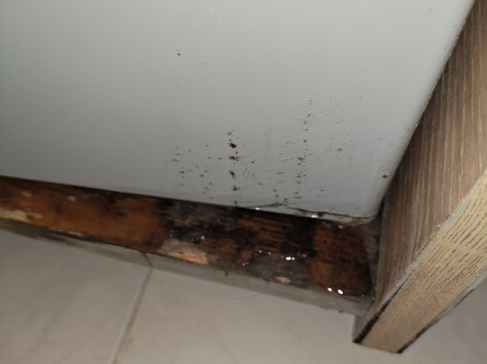 Hotel Sol Azur Beach & Congrès主图