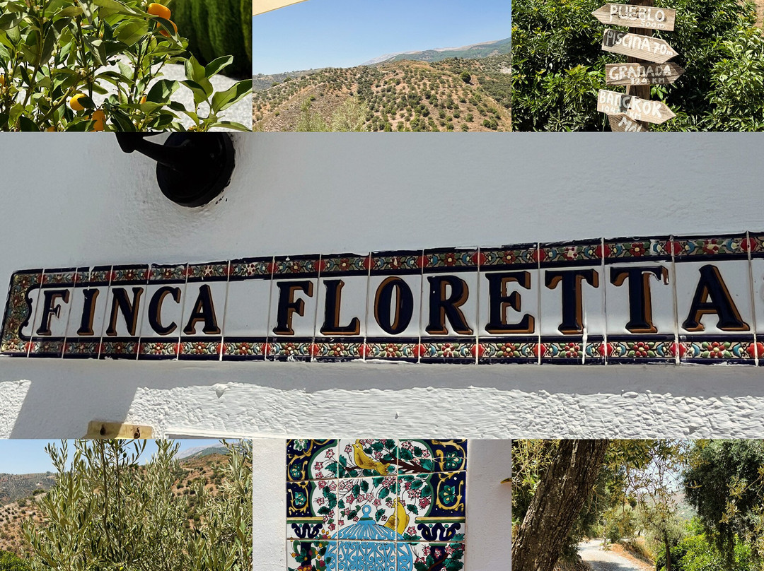 Finca Floretta主图