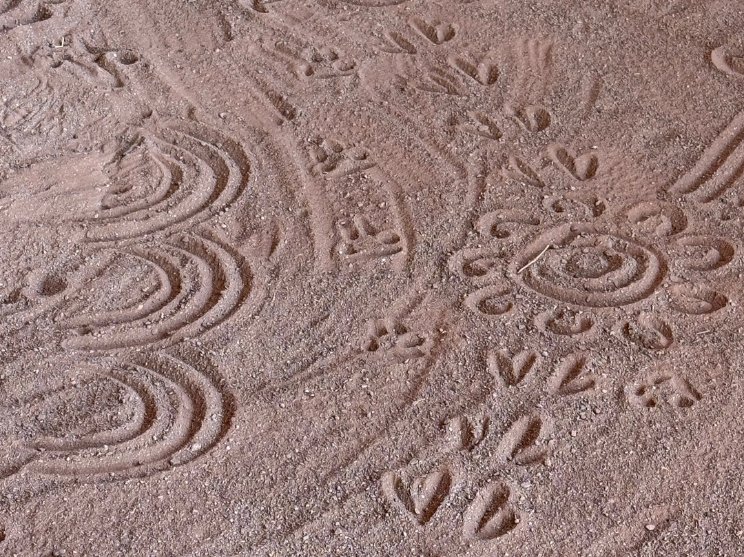 Untamed Escapes-阿德莱德必去景点