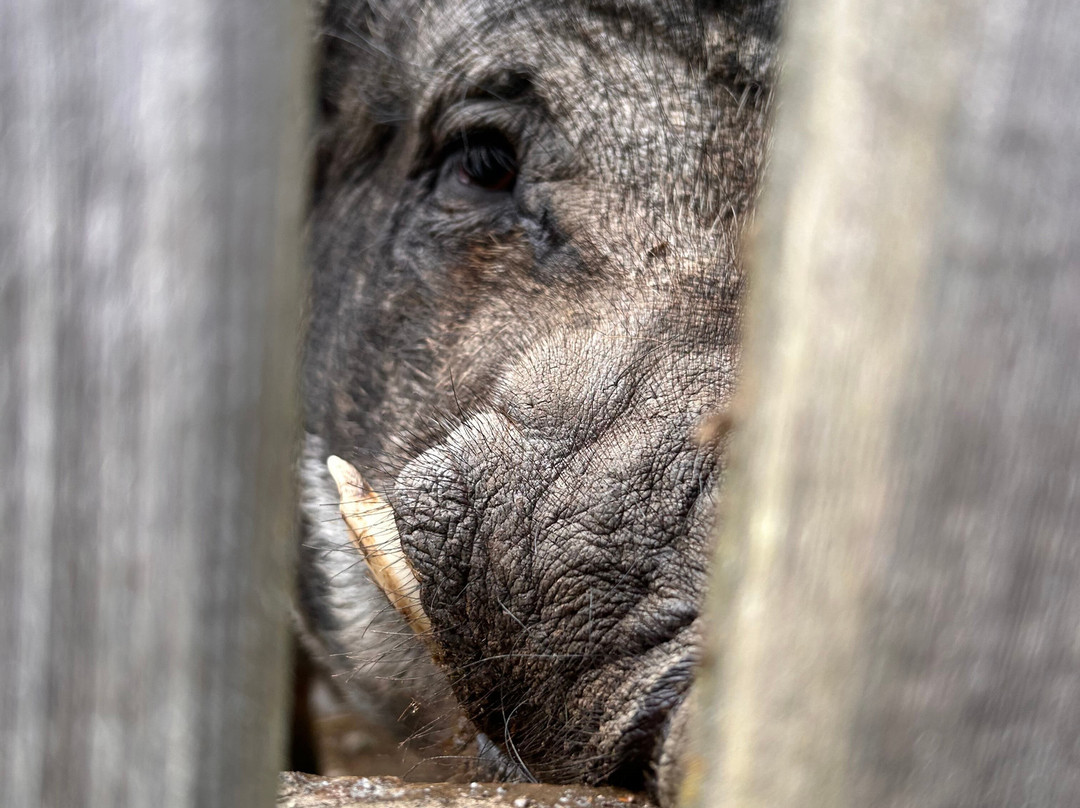 Familienhotel Gasthof Hinteregger主图