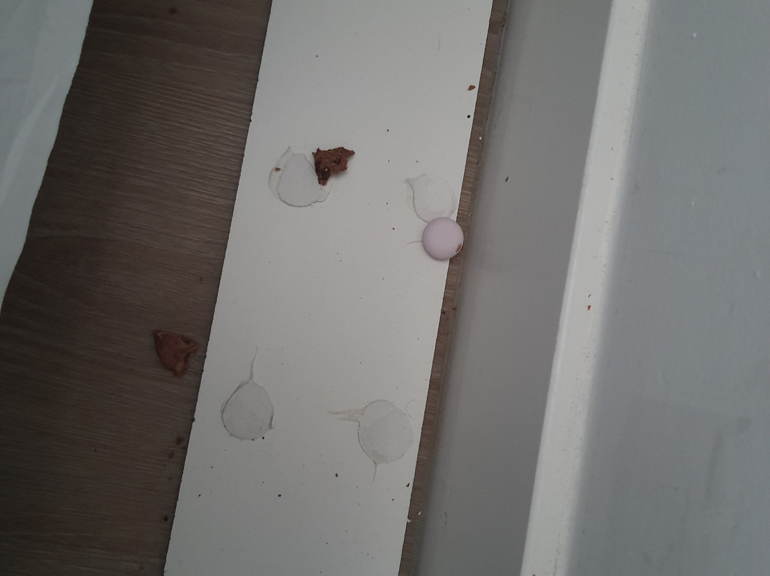 Fletcher Hotel Rotterdam-Airport主图