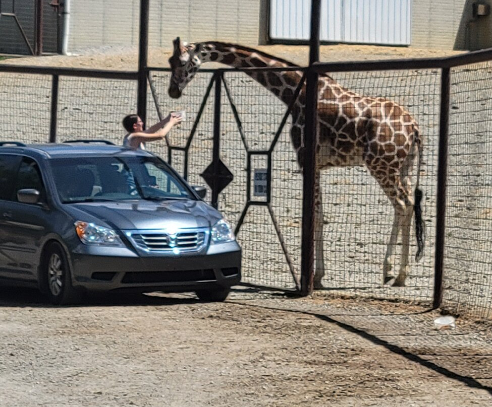 The Farm at Walnut Creek-Sugarcreek必去景点