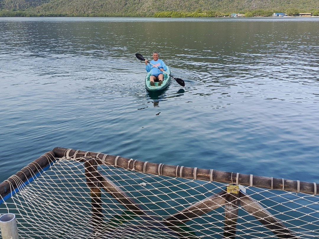 Playa La Cienaga-Ocumare de la Costa必去景点