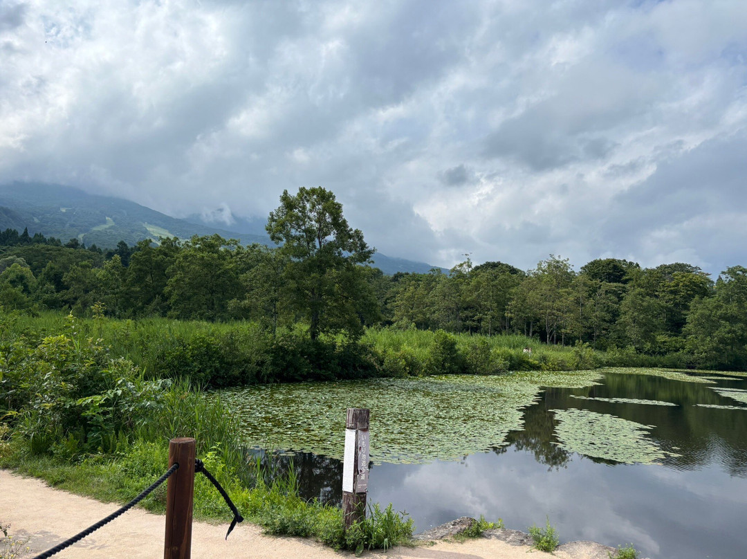 Imori Pond-妙高市必去景点