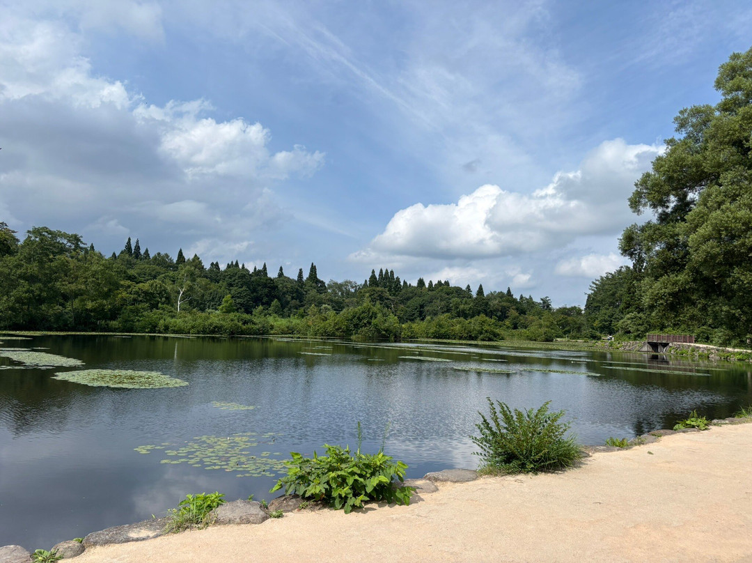Imori Pond-妙高市必去景点