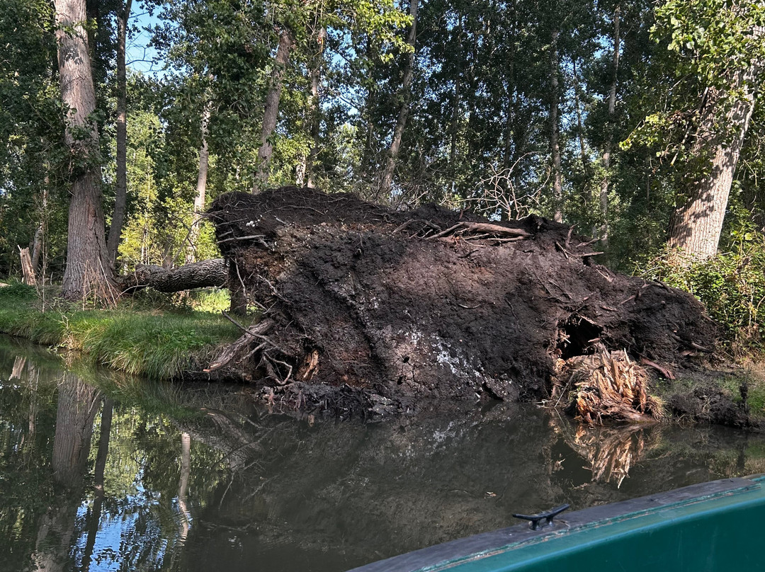 Embarcadere Cardinaud - Marais poitevin-Nouvelle-Aquitaine必去景点