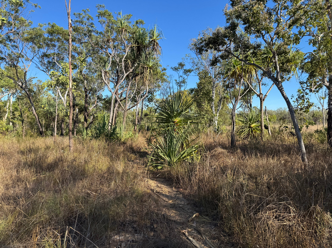 Gecko Canoeing & Trekking-凯瑟琳必去景点