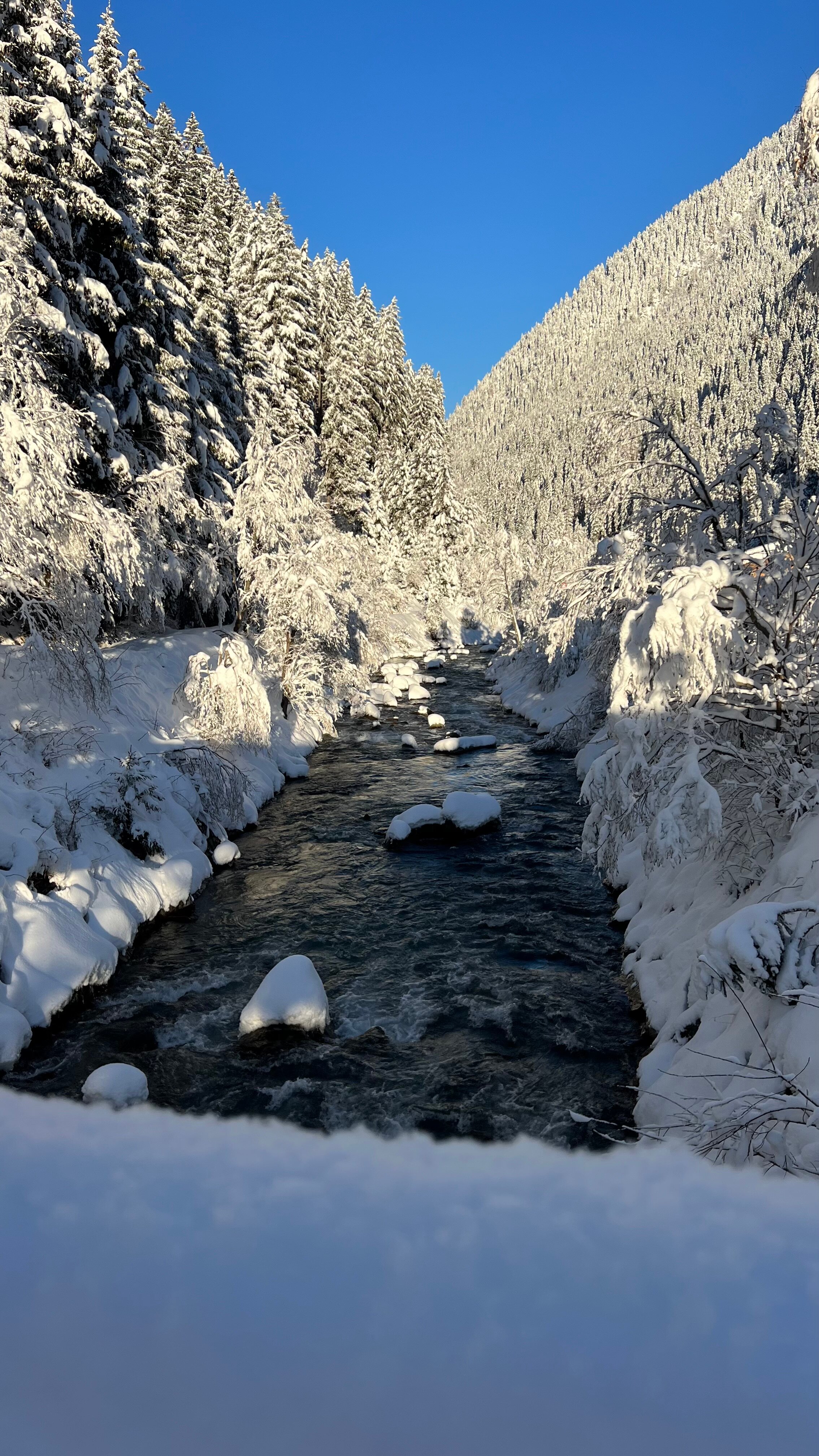 Vitalhotel Edelweiss-浴室