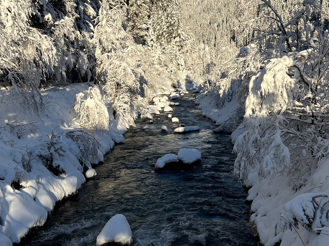 Vitalhotel Edelweiss主图