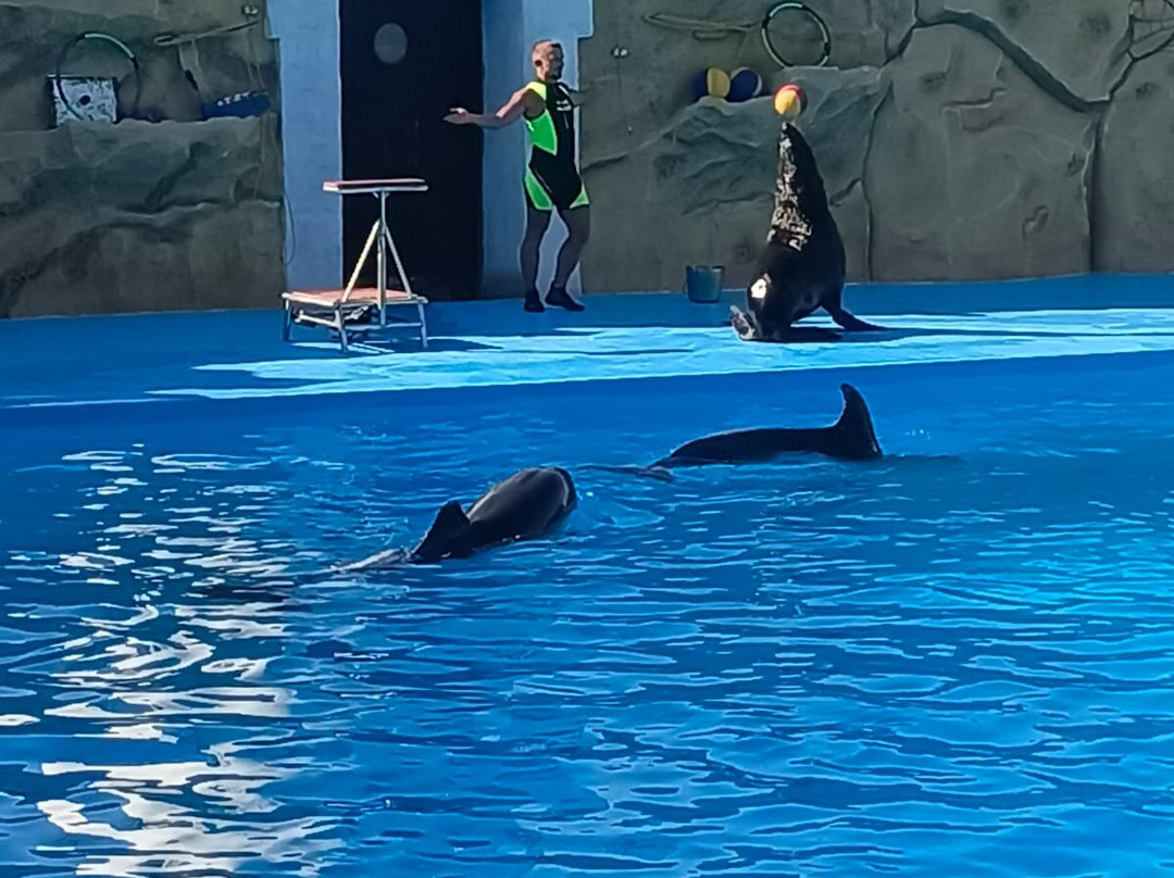 Dolphinarium-Yeysk必去景点