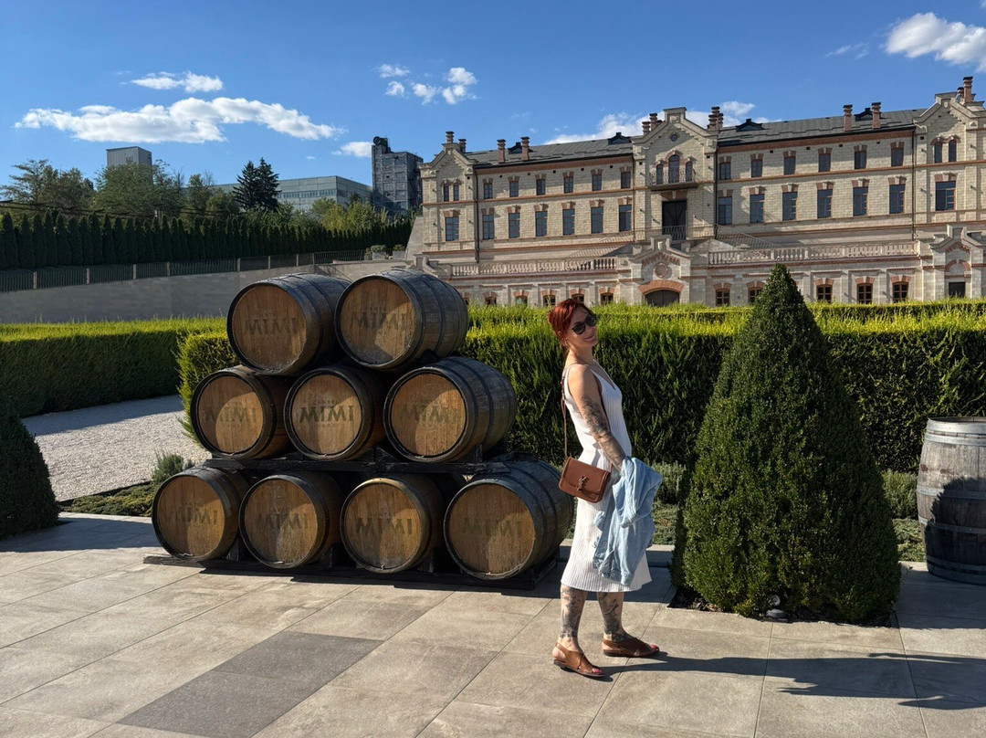 Castel Mimi Wine Resort-Bulboaca必去景点
