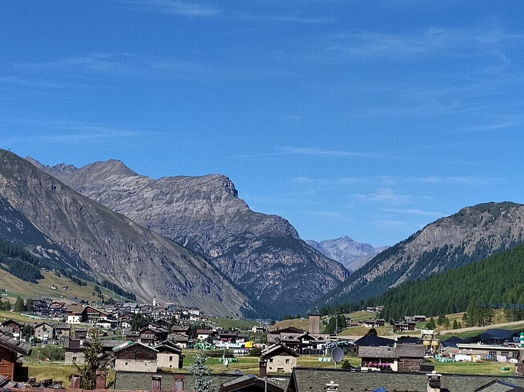 Camino Rustic Chic Hotel主图