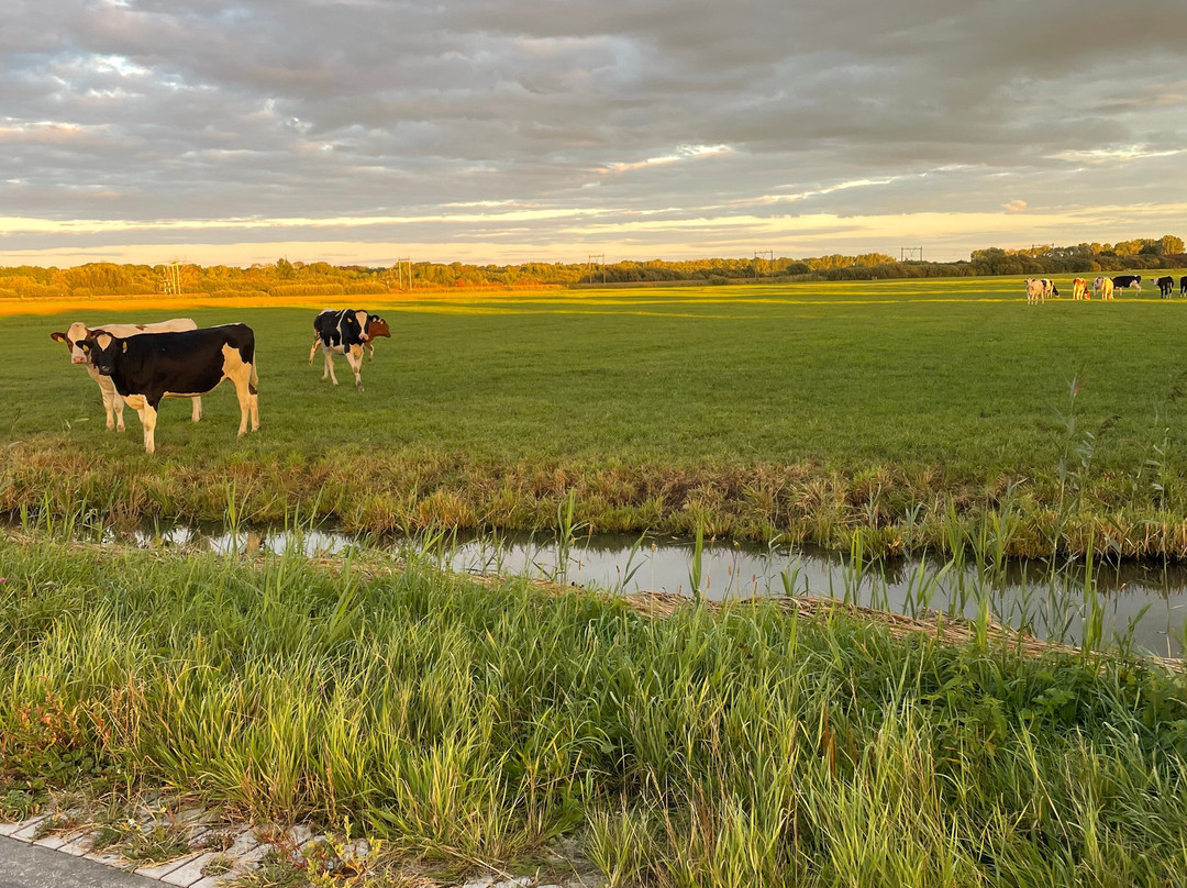 Boerderij Hazenveld Mini-camping B&b主图