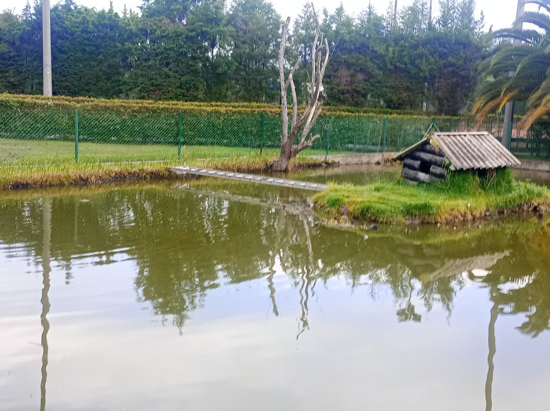 Hotel Colonial Colsubsidio主图