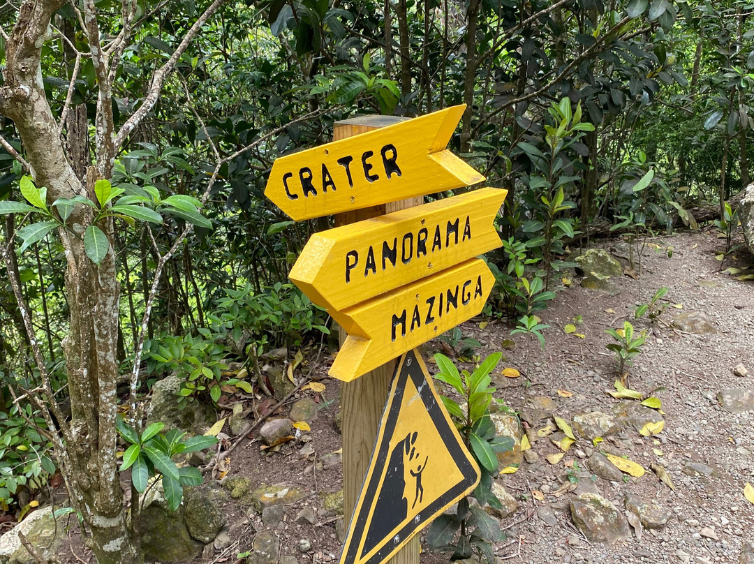 Quill National Park-圣尤斯泰希厄斯岛必去景点