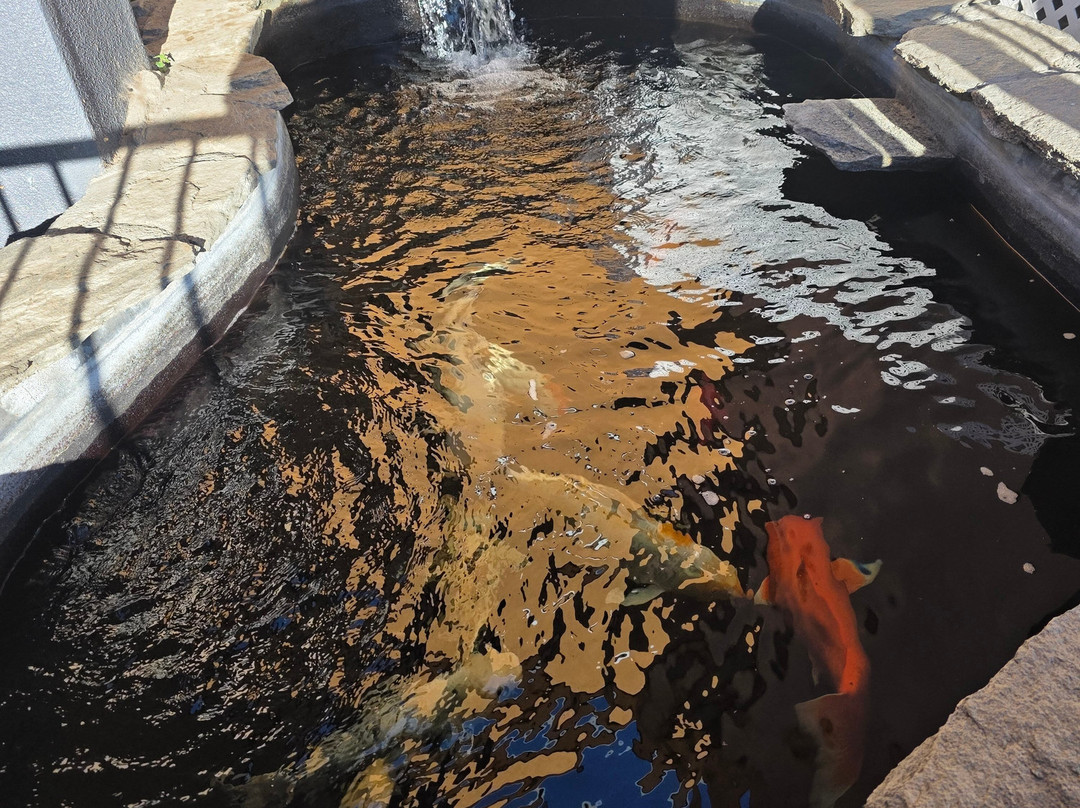 贝斯特韦斯特普勒斯羚羊酒店主图