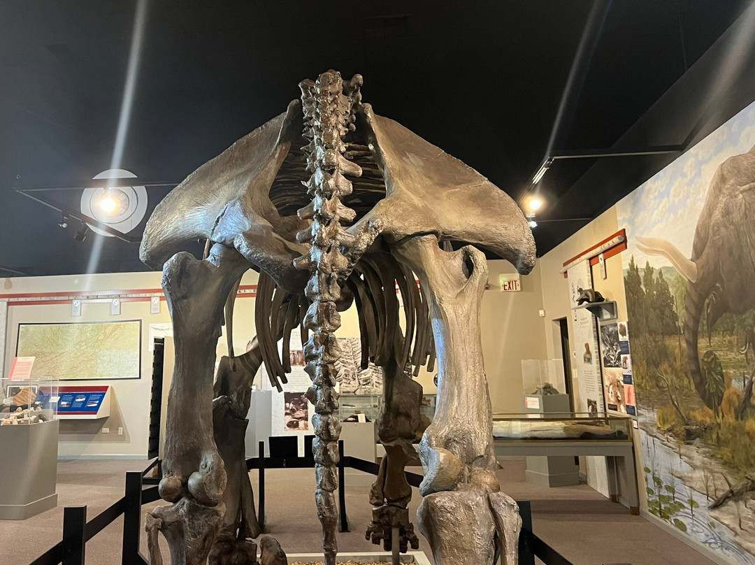 Museum of the Middle Appalachians-Saltville必去景点