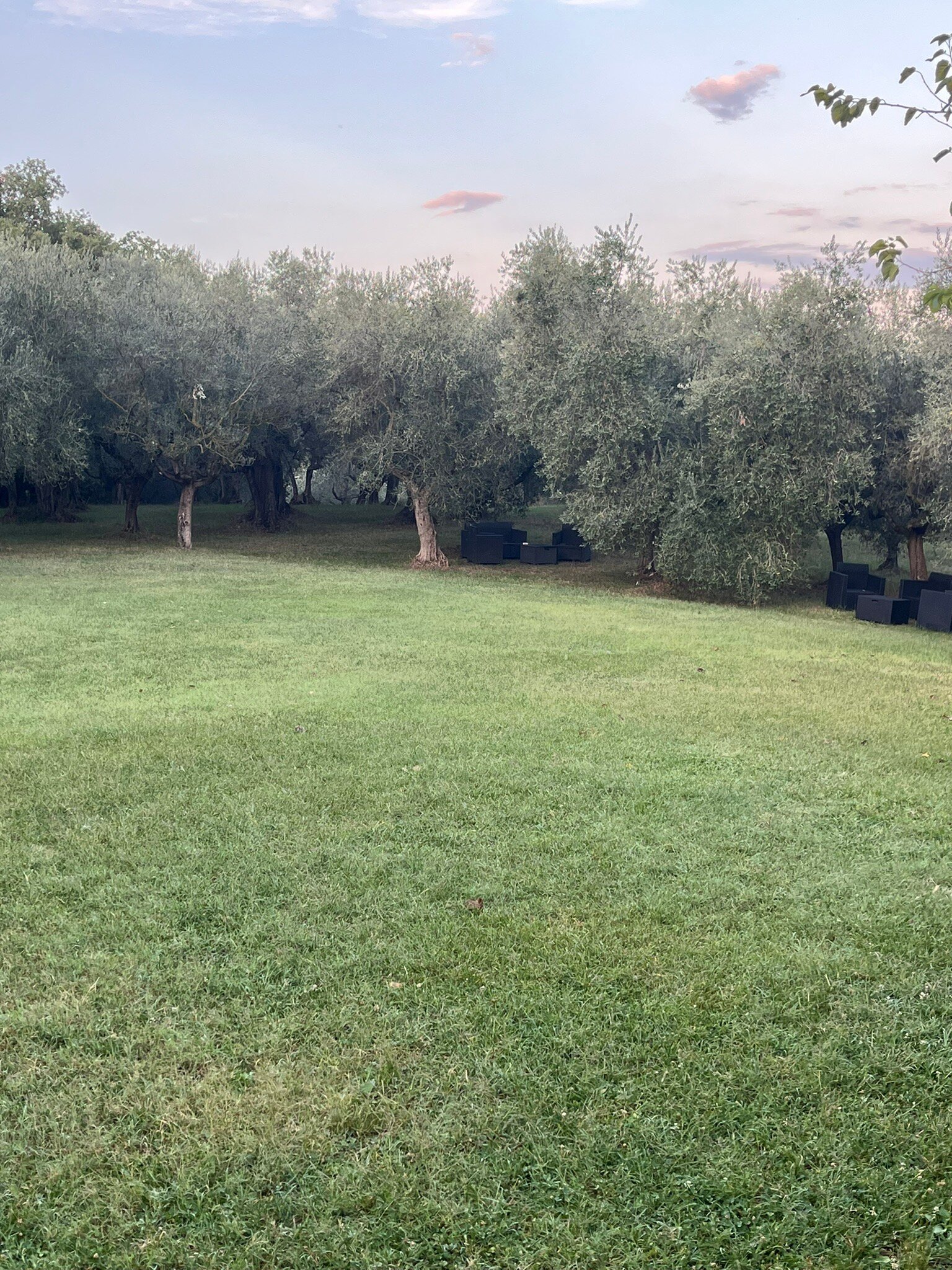 Agriturismo Il Vecchio Gelso-官方